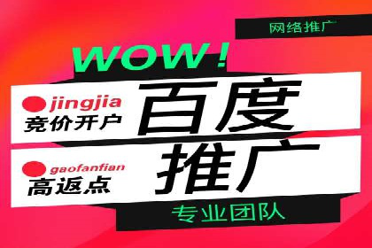 百度广告竞价与SEO结合的案例：某企业双管齐下的营销策略